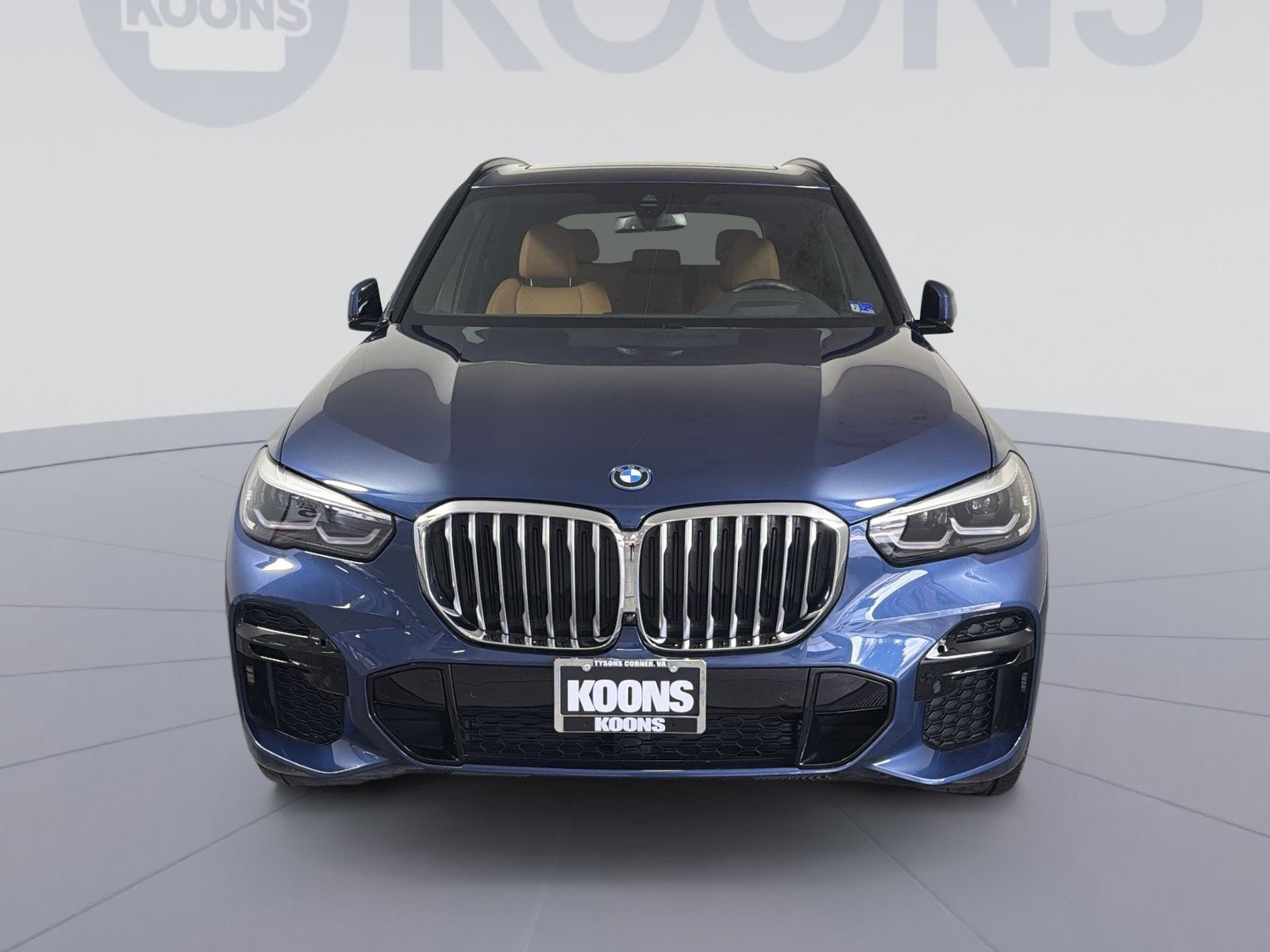 2023 BMW X5 xDrive45e