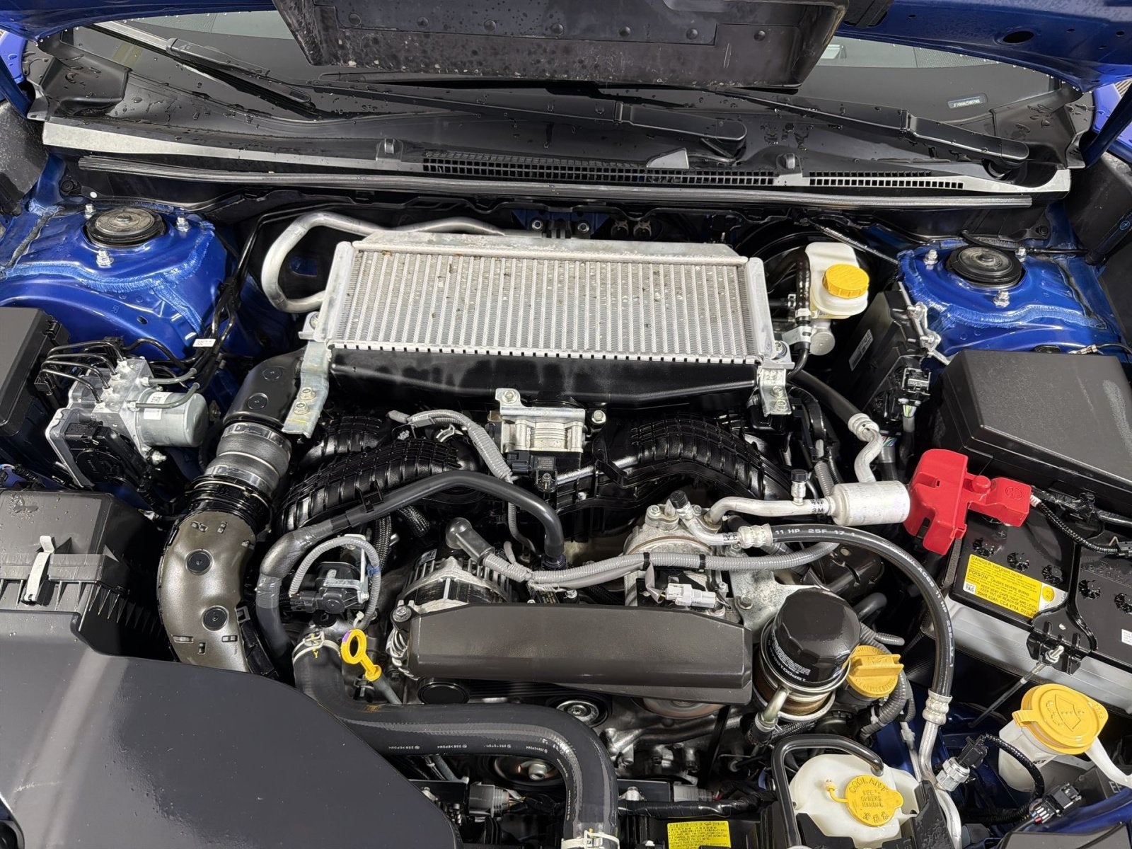 2025 Subaru WRX Premium