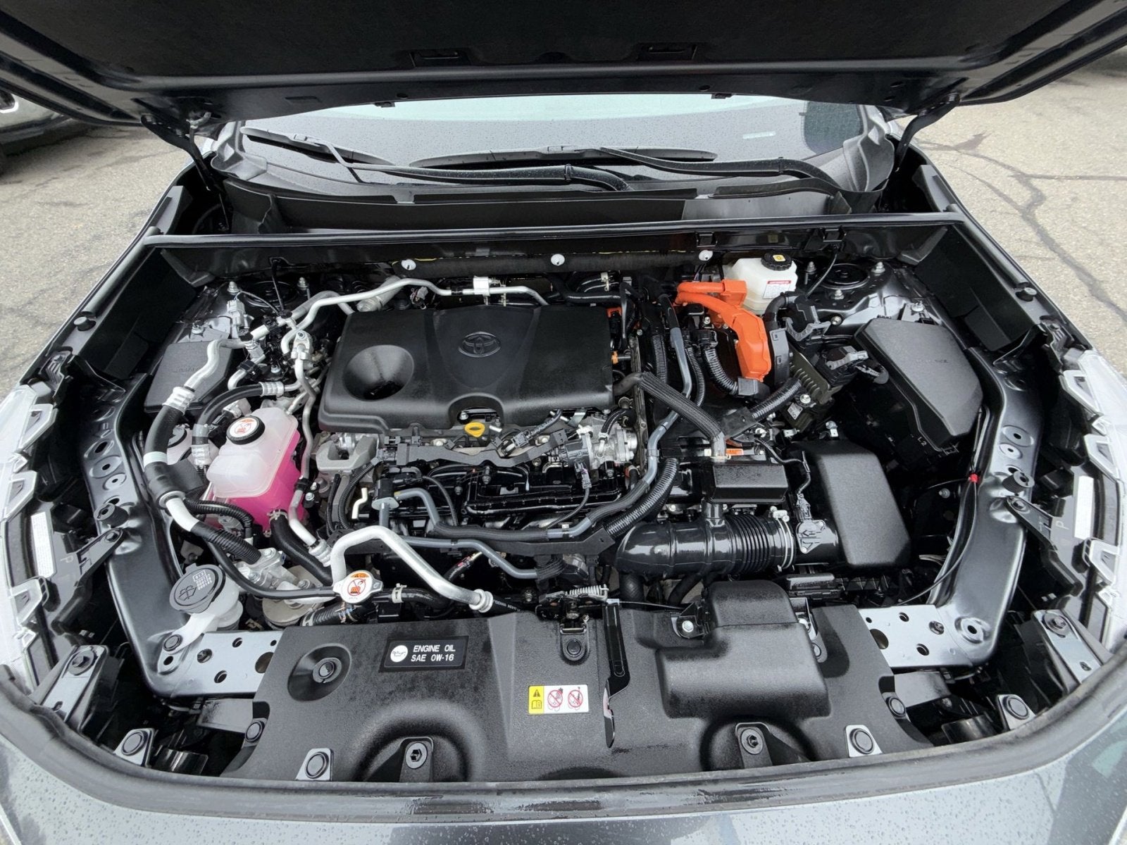 2024 Toyota RAV4 Prime XSE